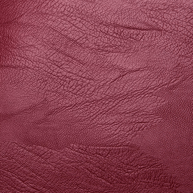 Commuter-friendly women's water-resistant leather backpack, keeps essentials safe.