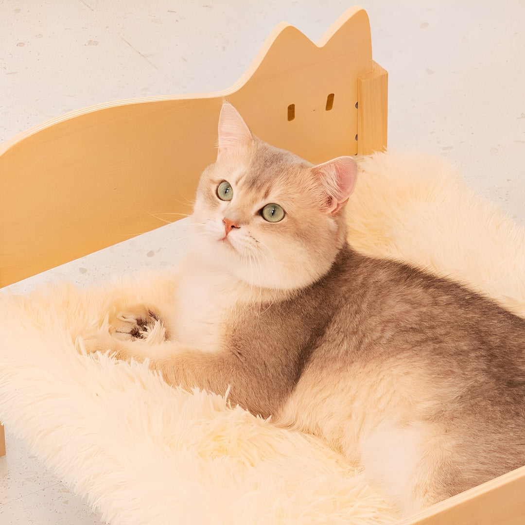 Space-saving wooden cat bunk bed featuring two cozy sleeping compartments for pets.