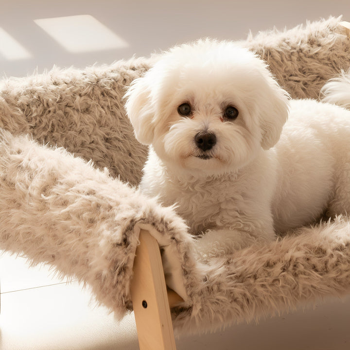 Elegant wooden elevated pet lounger, designed for dogs. A stylish piece of dog furniture.