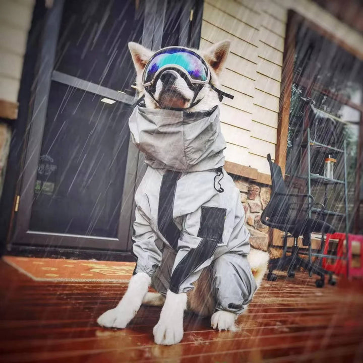 Waterproof pet jacket for dogs, bright yellow with reflective details, perfect for rainy walks.