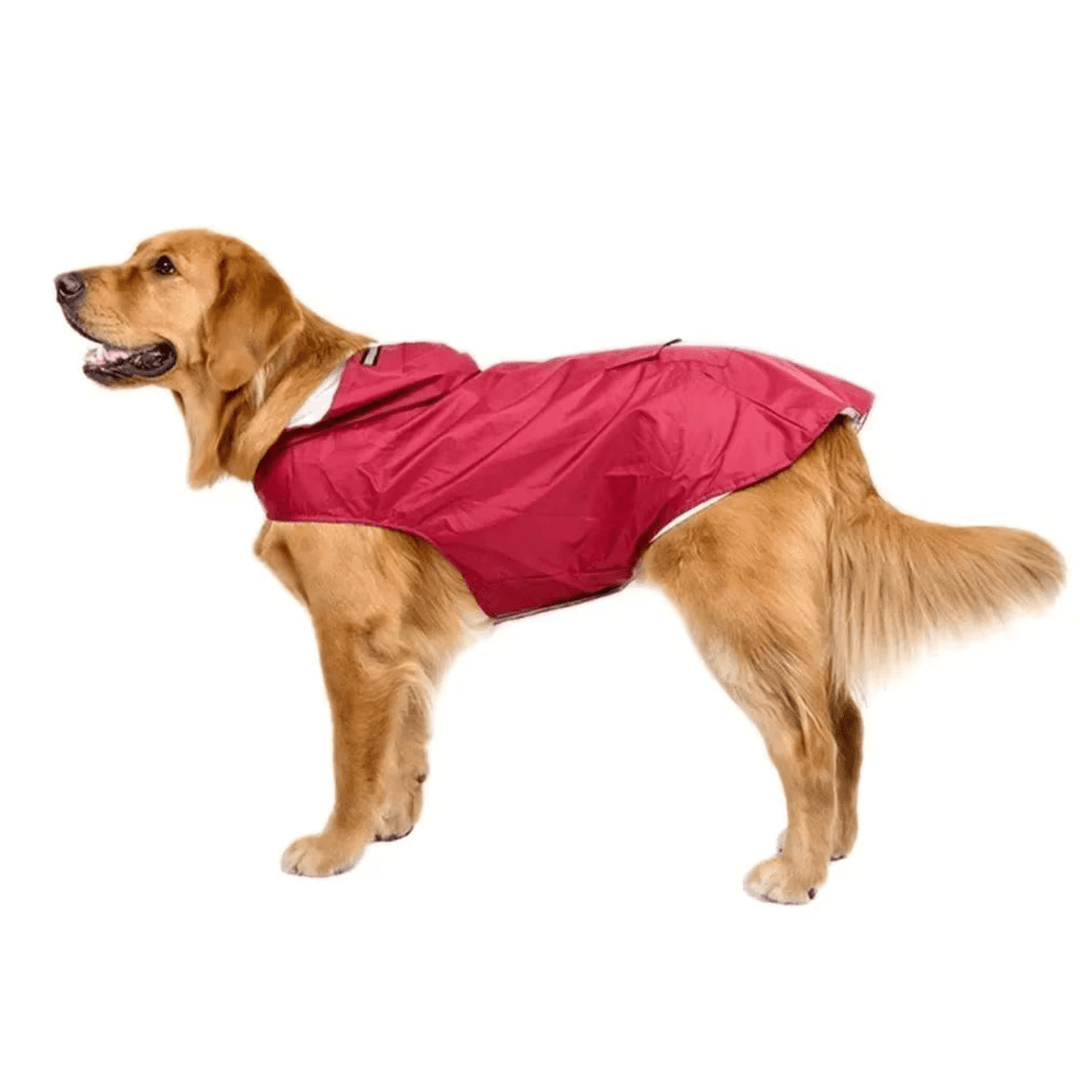 Yellow dog raincoat with reflective stripes, black trim, and leash slot for outdoor pet adventures