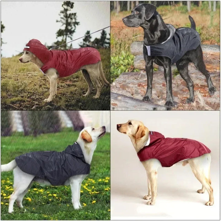 Close-up of a dog in a reflective waterproof raincoat, ideal pet apparel for rainy walks