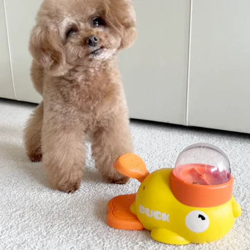 Pet supplies: cute duck slow feeder bowl, helps pets eat at a healthy pace, enrichment.