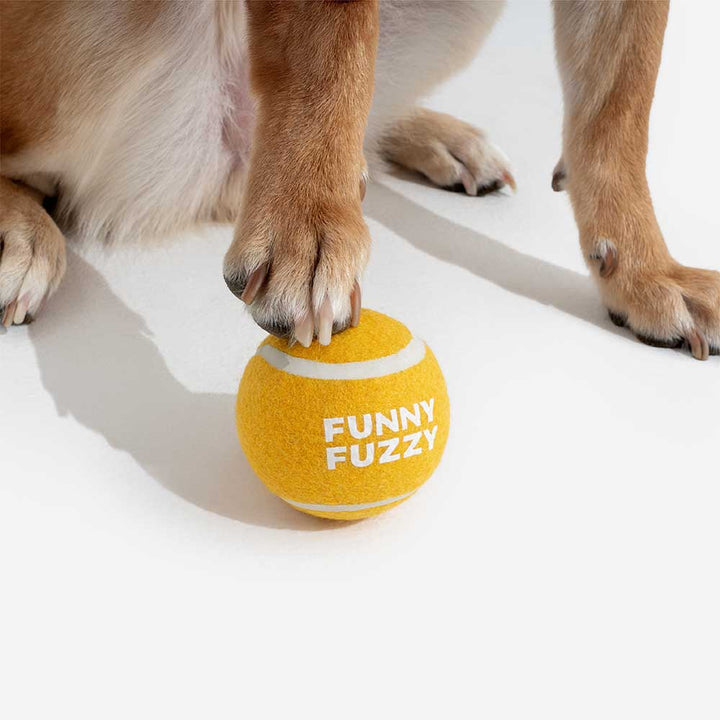 Puppy engaged with a squeaky tennis ball dog toy, fostering healthy play habits and exercise.