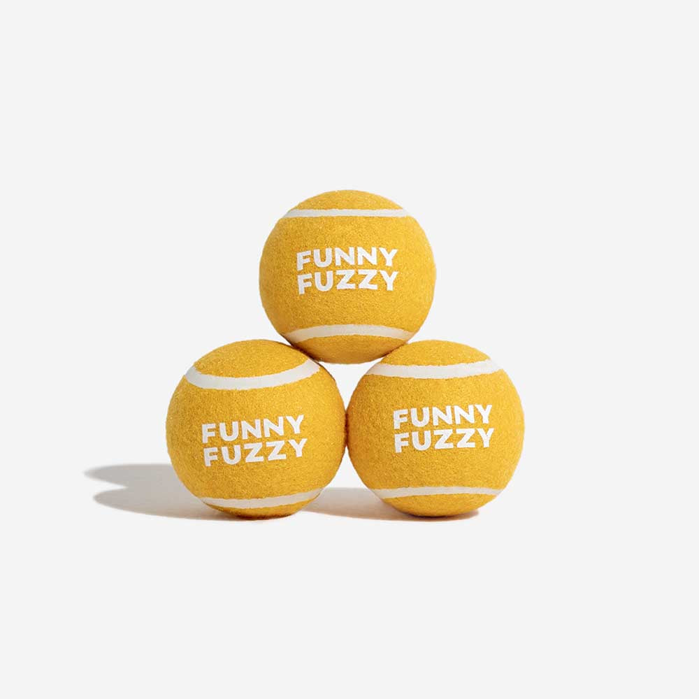 Durable squeaky tennis ball dog toy, designed to withstand hours of vigorous fetch and chewing.