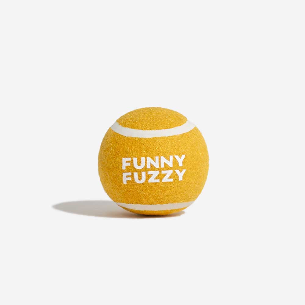 Dog chewing on a red squeaky tennis ball toy, perfect for stimulating fetch games.